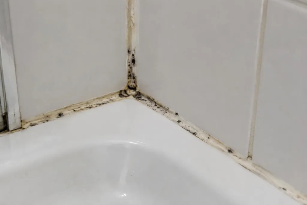 Kitbedrijf Biddinghuizen – beschimmelde kitranden